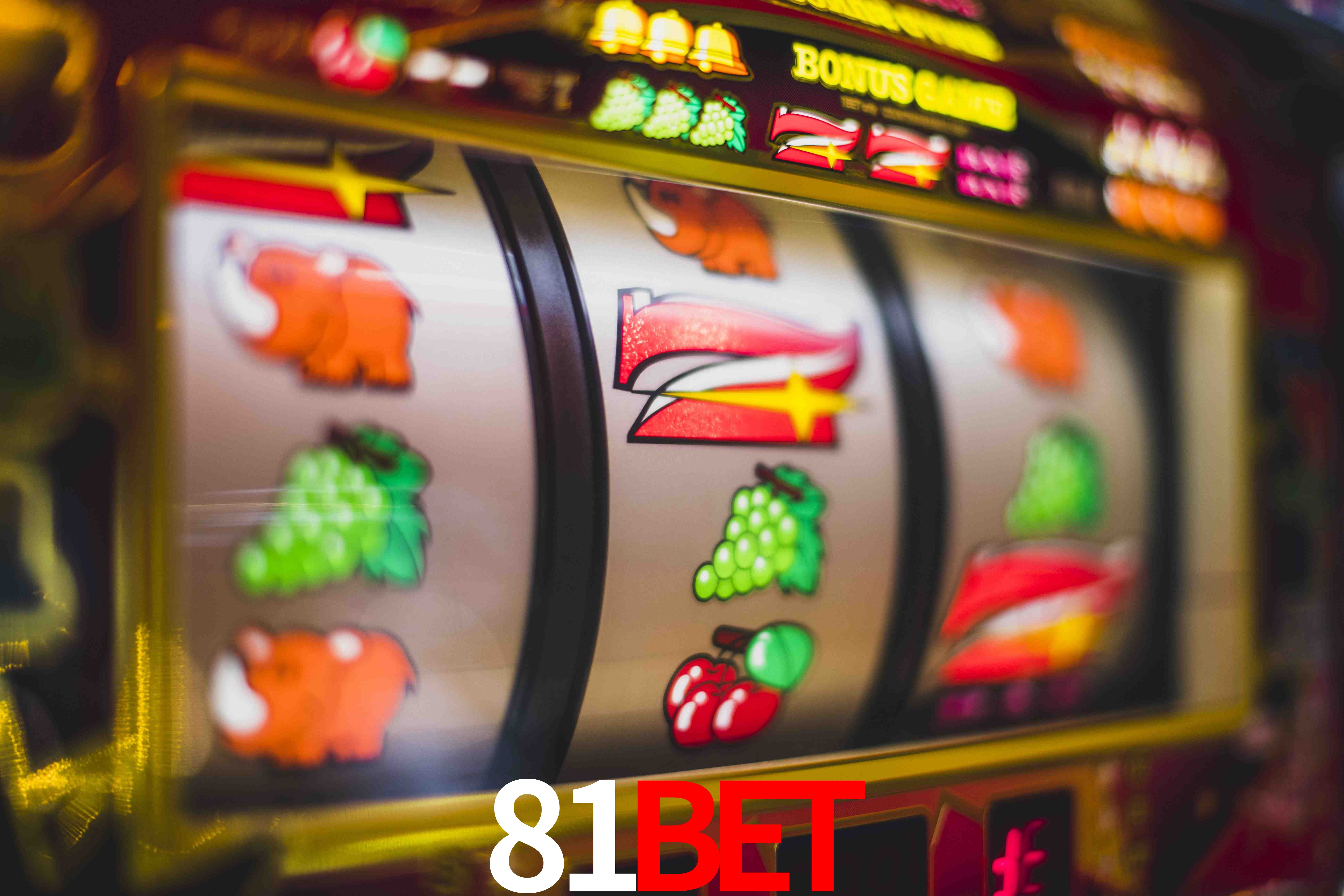 Football Betting 81BET